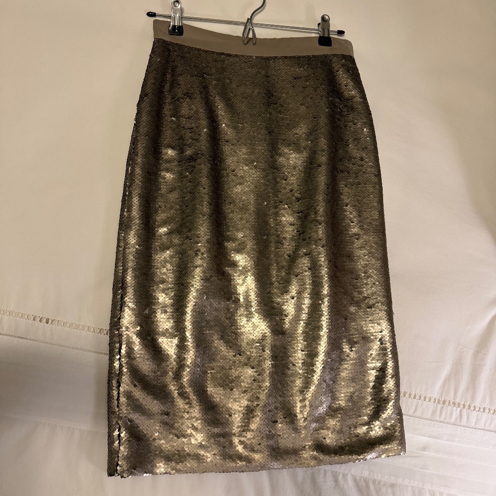 Banana Republic Silver Sequin Pencil Skirt